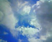 a0127830_22493610.jpg