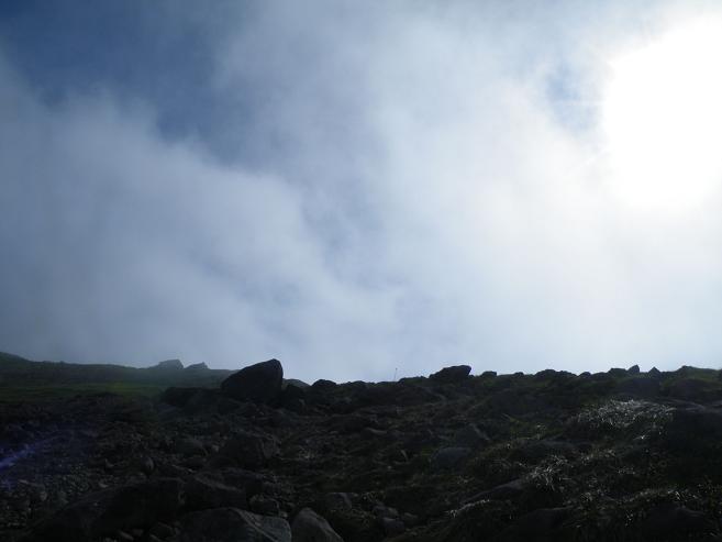 f0118332_014161.jpg