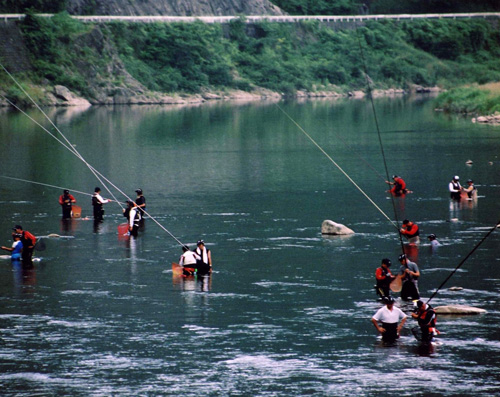 e0155240_110541.jpg