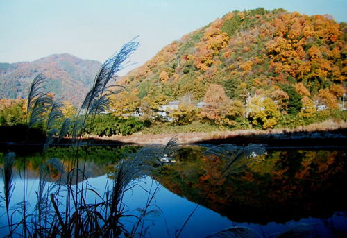 e0155240_113471.jpg
