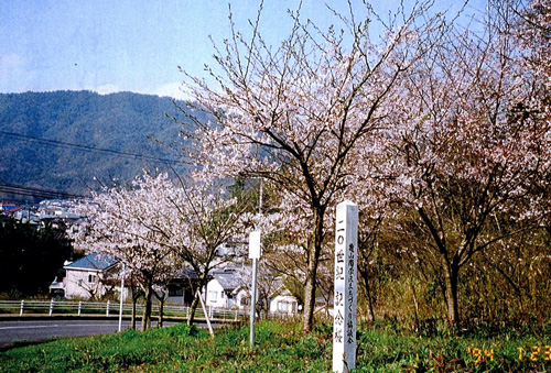 e0155240_11355100.jpg