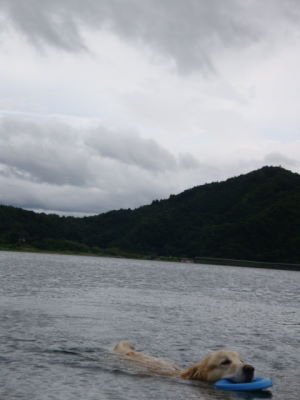 e0158841_14274494.jpg
