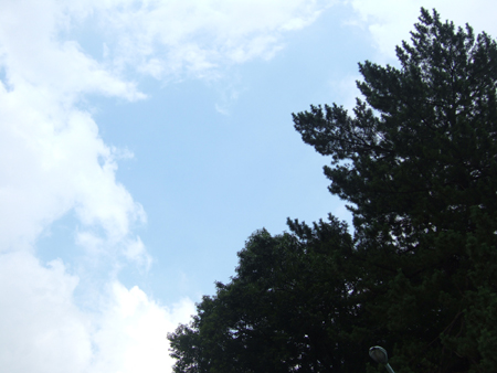 f0201745_1402879.jpg