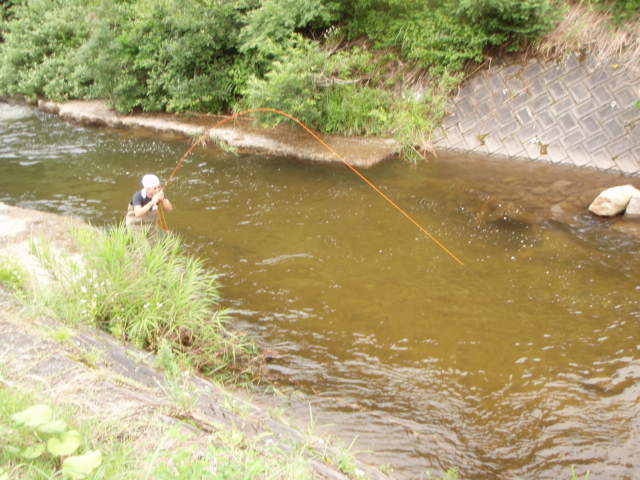 f0168947_524233.jpg