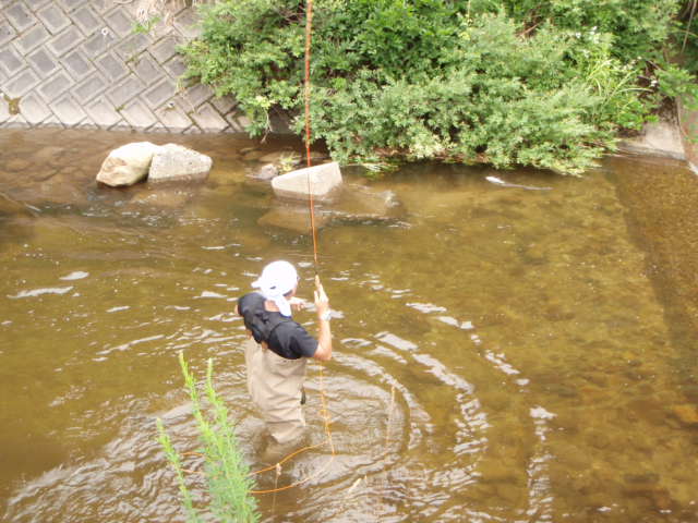 f0168947_53728.jpg