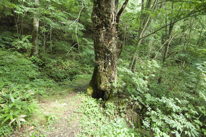 f0077849_85206.jpg