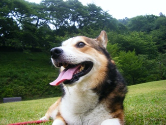 a0006252_21565126.jpg