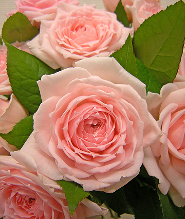 a0001354_2141921.jpg
