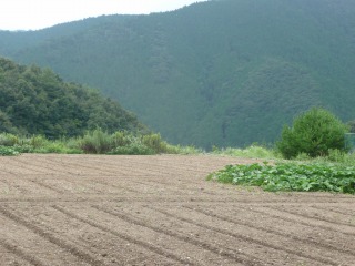 f0055264_22211359.jpg