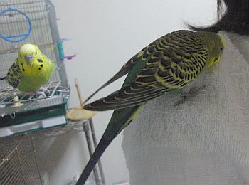 f0196665_0242862.jpg