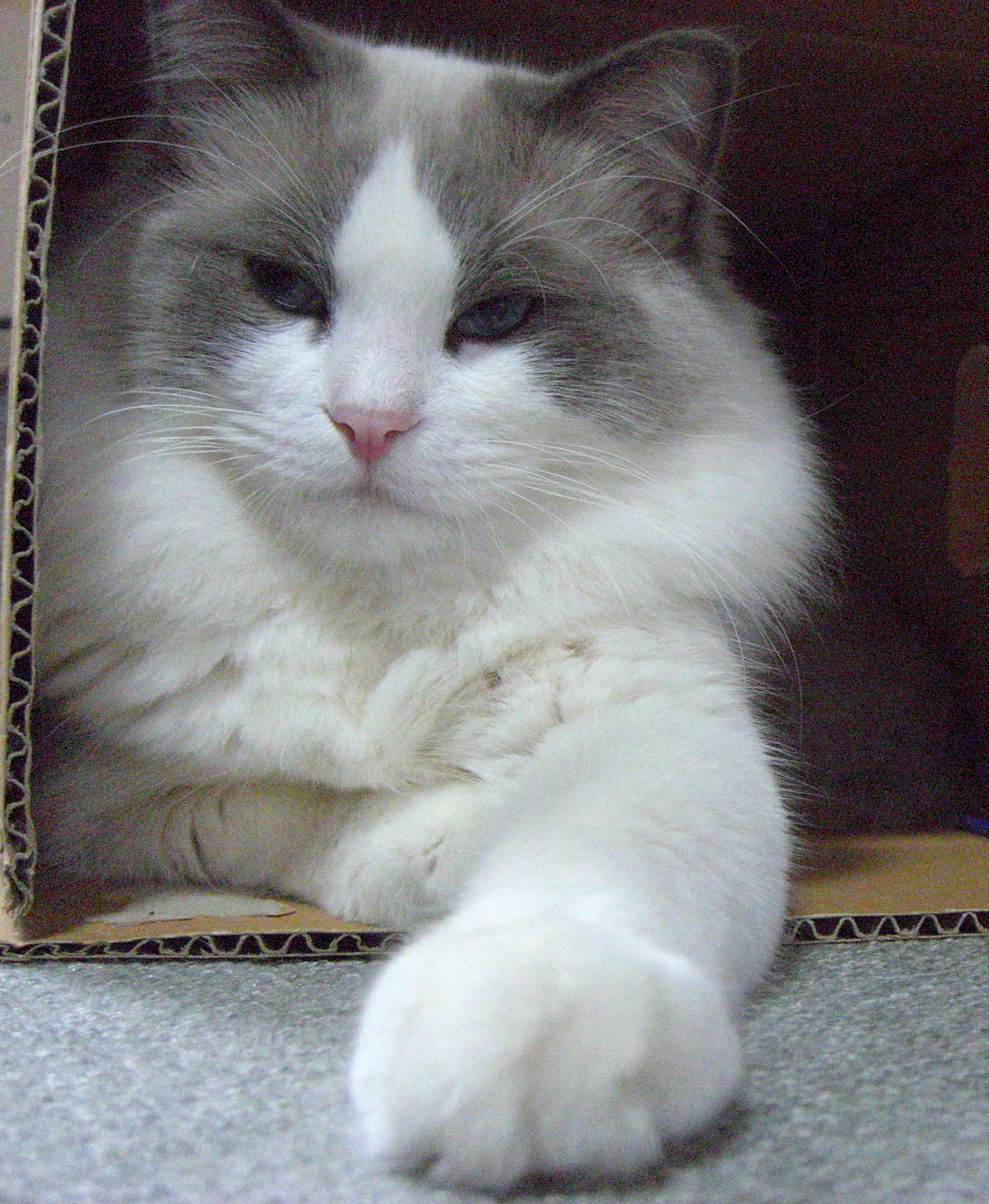 f0200666_23564775.jpg