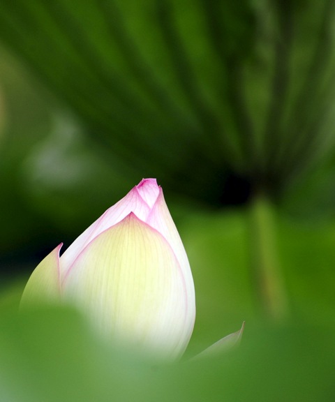 b0131167_22455388.jpg