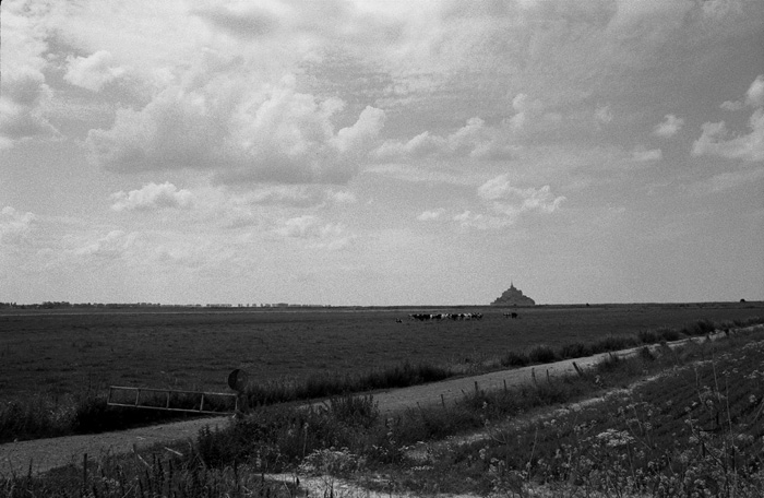 f0135371_12372250.jpg