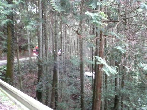 c0107075_0342388.jpg