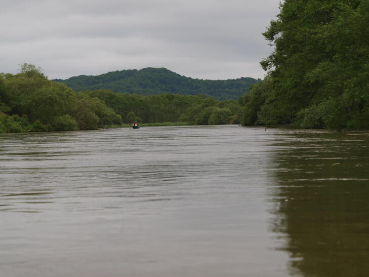 f0130376_11154671.jpg