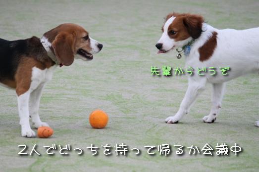 a0076980_21414771.jpg