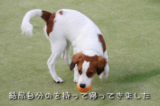 a0076980_22233346.jpg