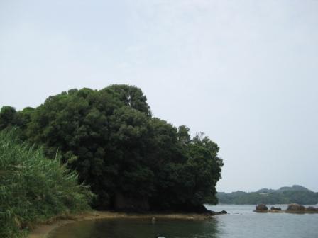 f0143386_21133036.jpg