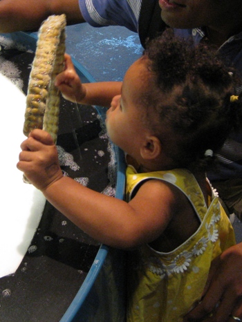 f0195286_1331689.jpg