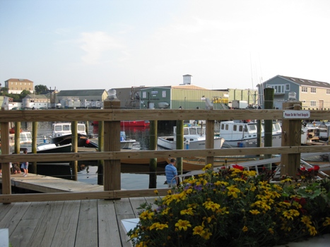 f0195286_13354586.jpg