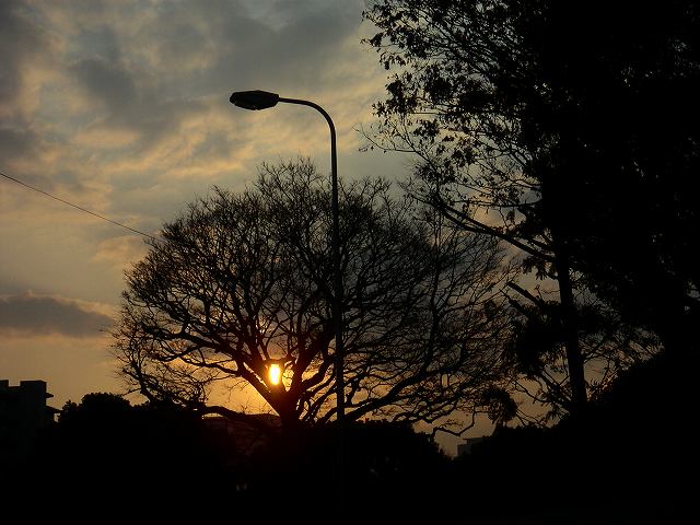 c0160387_6184626.jpg