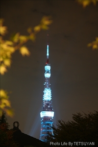 IMG_1360_M.jpg