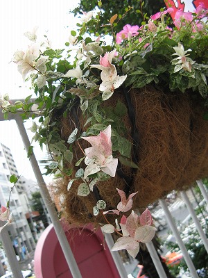 f0100289_064175.jpg