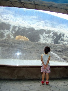 a0079990_23272929.jpg