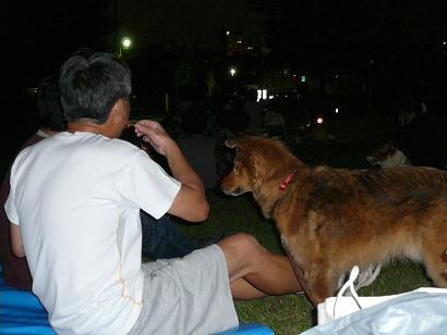 c0123890_215946100.jpg