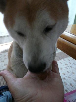 c0123890_7191019.jpg