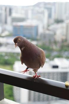 a0091891_22475230.jpg