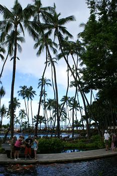 a0091891_2314223.jpg