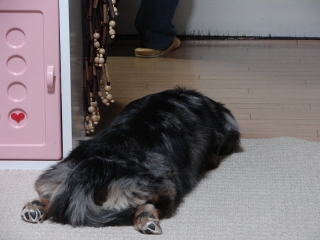 f0195891_17159100.jpg