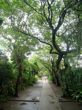 f0165392_216098.jpg
