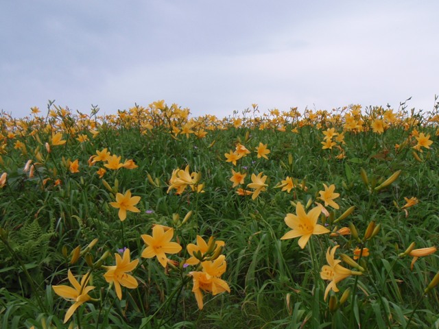 b0039898_21251614.jpg