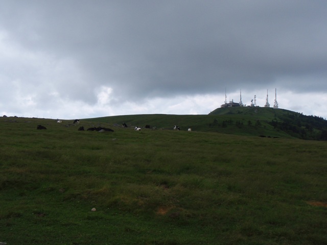 b0039898_23372461.jpg