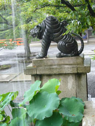 e0031799_1705758.jpg