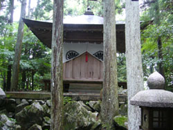 e0031799_1714767.jpg