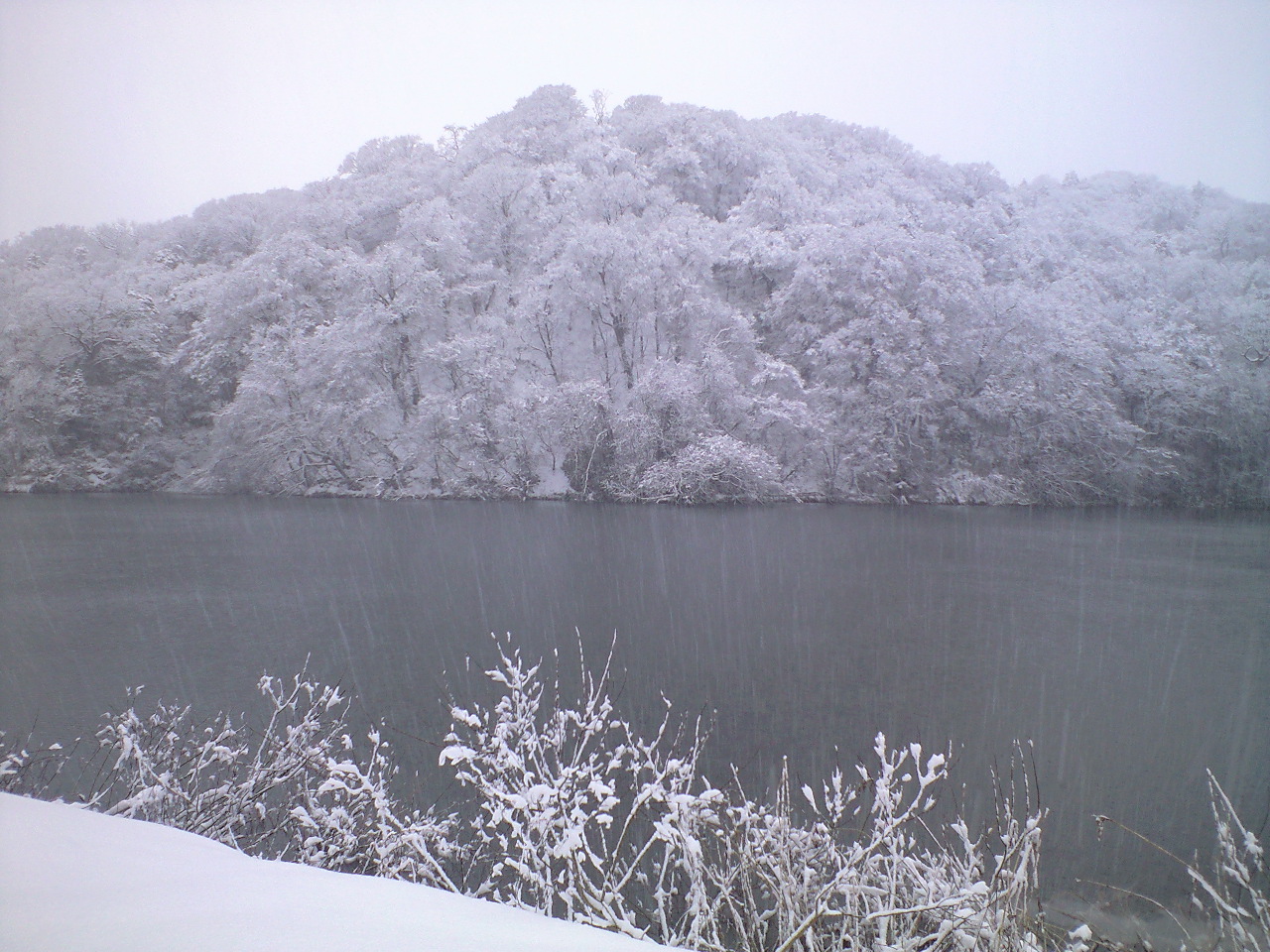 c0072801_932471.jpg