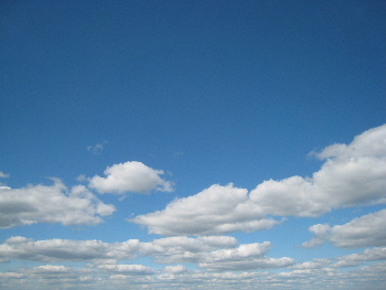 e0149604_6345364.jpg