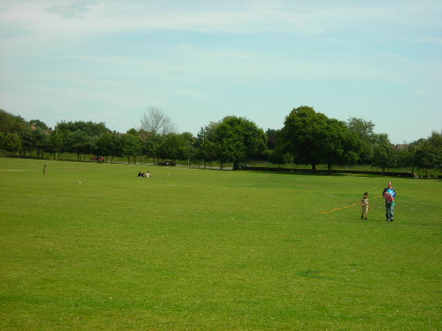 e0160905_7333519.jpg