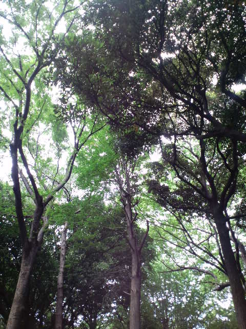 a0088007_11493596.jpg