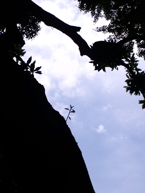 a0088007_11515265.jpg