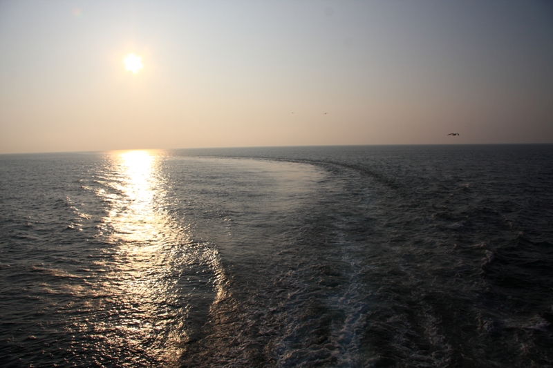 b0180907_15354552.jpg
