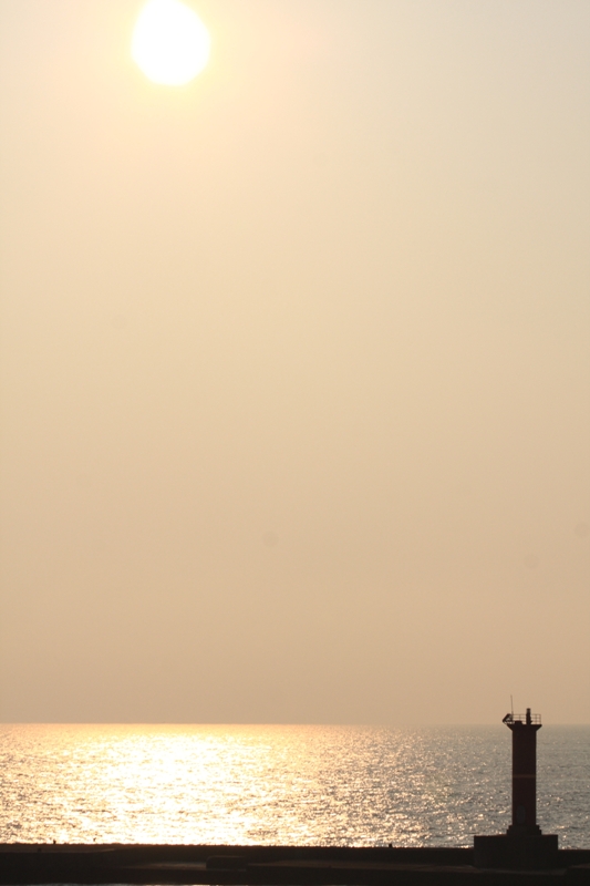 b0180907_15362593.jpg