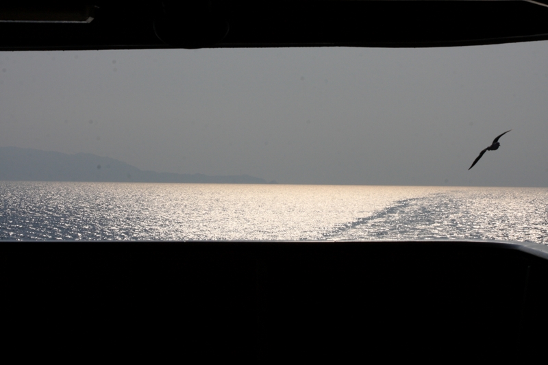 b0180907_1959796.jpg