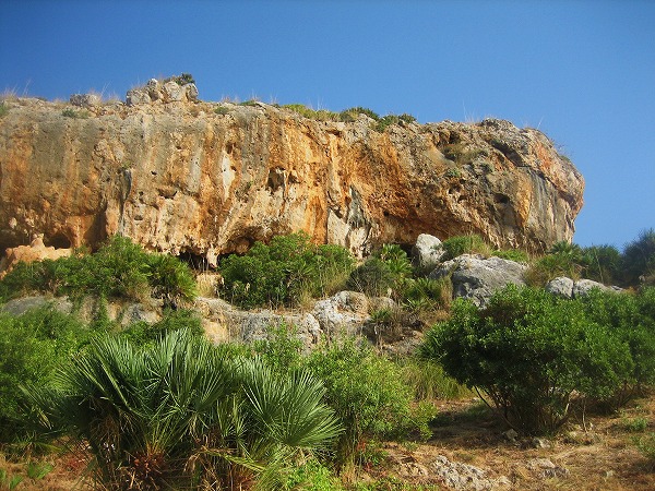 b0064411_121674.jpg