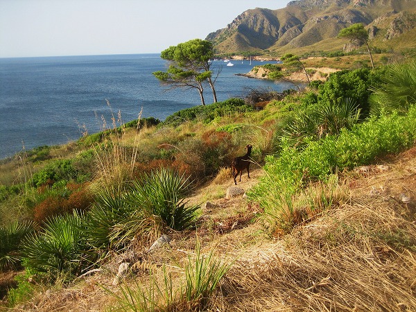 b0064411_1241411.jpg
