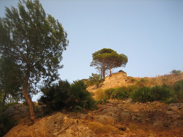 b0064411_1401393.jpg
