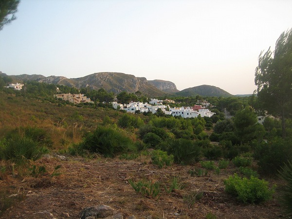 b0064411_141444.jpg